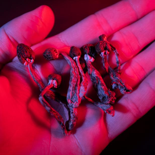 1301485028 Psilocybin and magic mushrooms, effects and risks